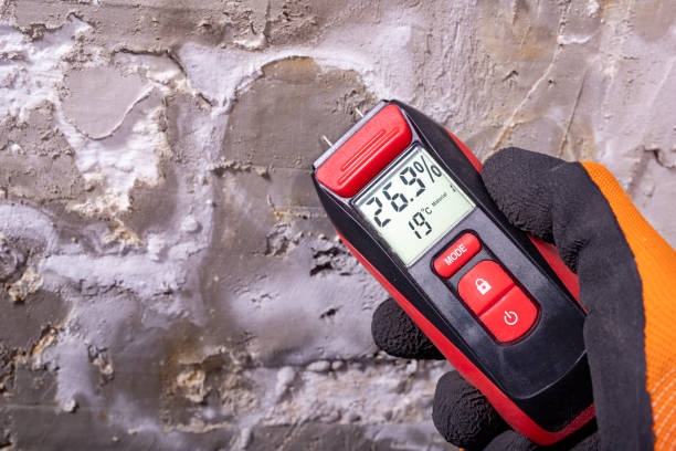 Best Mold Testing  in Beale Af, CA