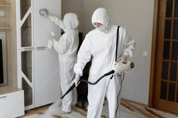Best Certified Mold Removal  in Beale Af, CA
